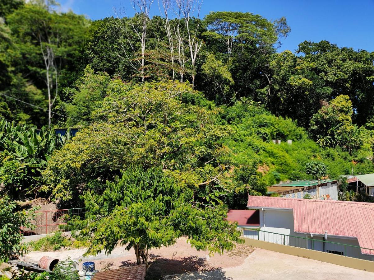 La Residence D'Almee Guesthouse Baie Sainte Anne Kültér fotó